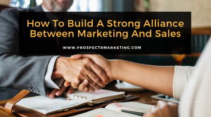 marketing sales alliance