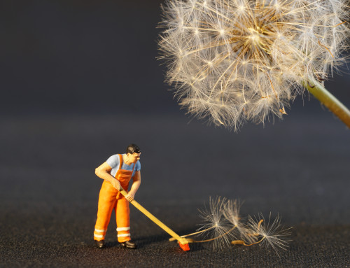 From Surviving — to Thriving: Most critical decisions Cleaning Company Owners can make